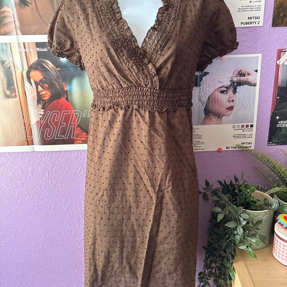 Brown Swiss Dot Smocked Empire Waist Dress Size XL